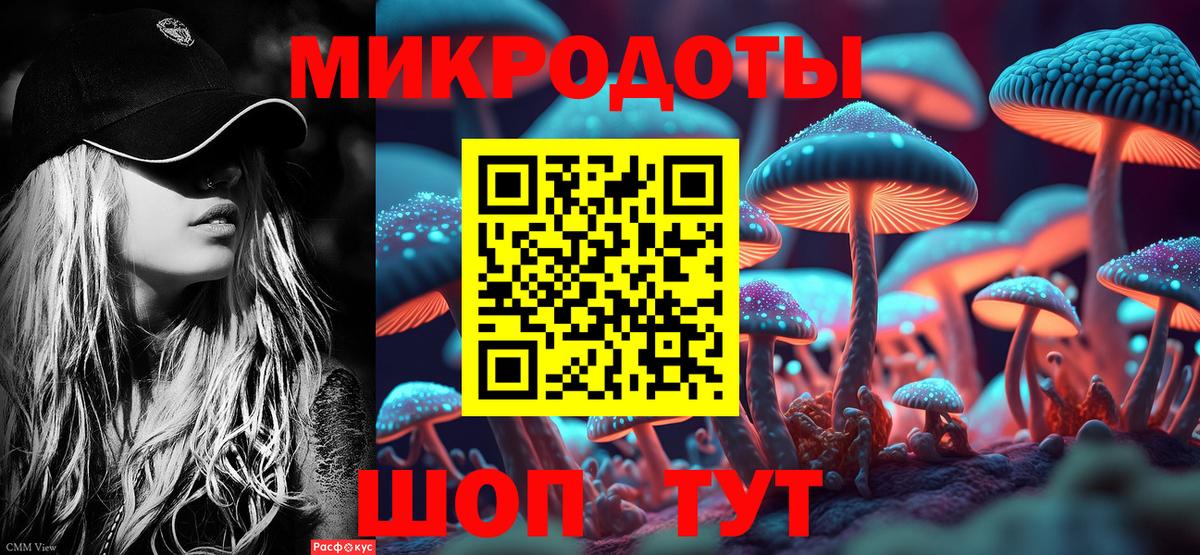 Карачаевск  Псилоцибиновые грибы MAGIC MUSHROOMS  Вход с VPN  где купить наркоту  Псилоцибиновые грибы GOLDEN TEACHER 